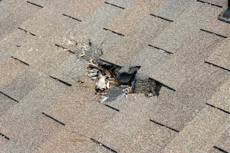 Asphalt Roof Replacement in Alexandria, VA